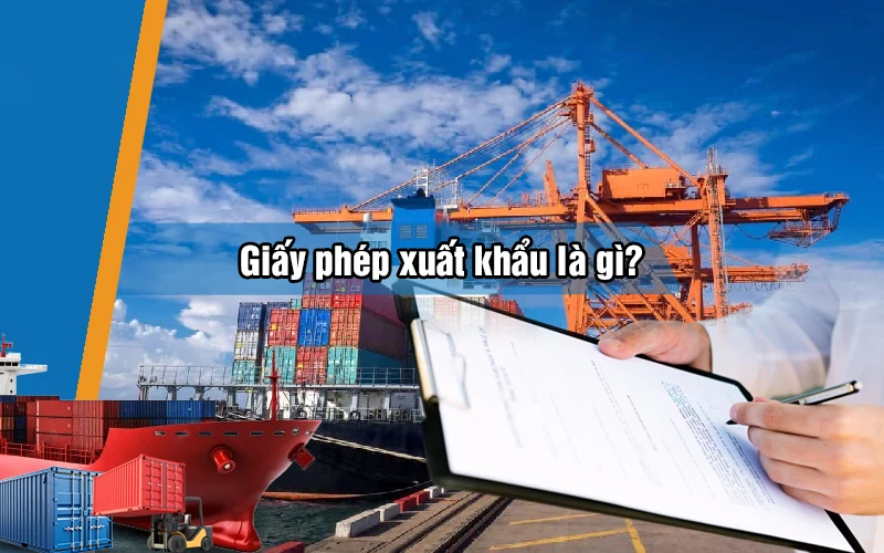 Giấy Phép Xuất Khẩu là gì?