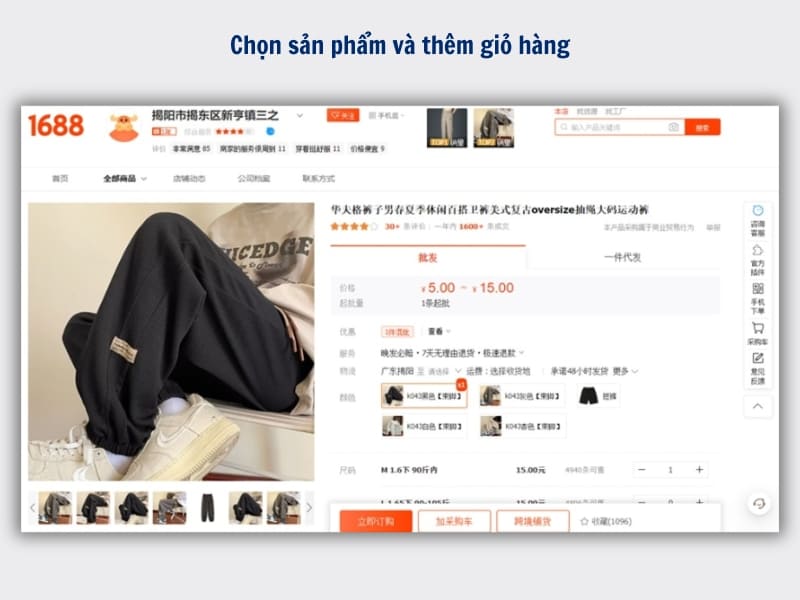 Chọn sản phẩm và thêm vào giỏ hàng