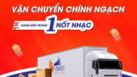 Vận chuyển chính ngạch uy tín, nhanh chóng