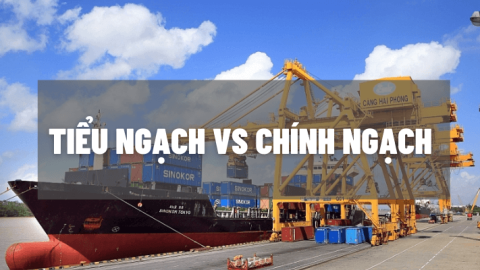 Đâu là lựa chọn tốt nhất? So sánh tiểu ngạch và chính ngạch!