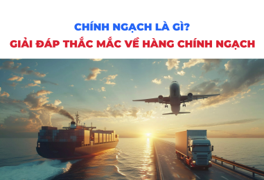 Chính ngạch là gì? Giải đáp mọi thắc mắc về hàng chính ngạch