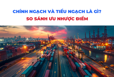 Tiểu ngạch và chính ngạch là gì? So sánh và phân biệt