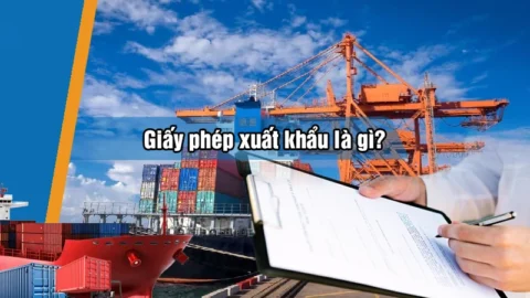 Giấy Phép Xuất Khẩu Là Gì? Quy Trình Xin Giấy Phép Xuất Khẩu