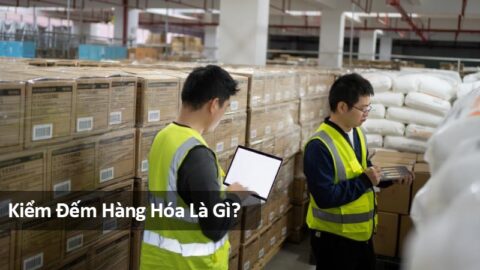 Kiểm đếm hàng hóa là gì? Lợi ích của dịch vụ kiểm đếm hàng hóa là gì?