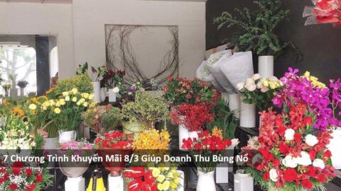 7 Chương Trình Khuyến Mãi 8/3 Giúp Doanh Thu Bùng Nổ