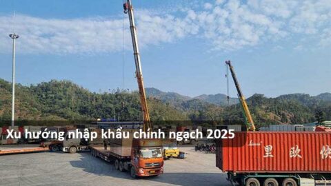 Tại sao nhập khẩu chính ngạch hàng Trung Quốc là xu hướng mới 2025