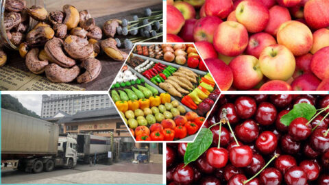 Hướng Dẫn Chi Tiết Thủ Tục Nhập Khẩu Nông Sản