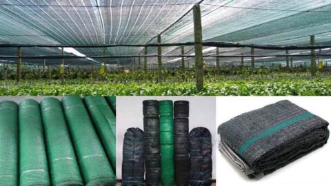 Tìm Nguồn Hàng Lưới Che Nắng Chất Lượng, Giá Tốt Nhất 2025