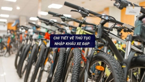 Hướng Dẫn Chi Tiết Thủ Tục Nhập Khẩu Xe Đạp Từ Trung Quốc 2025