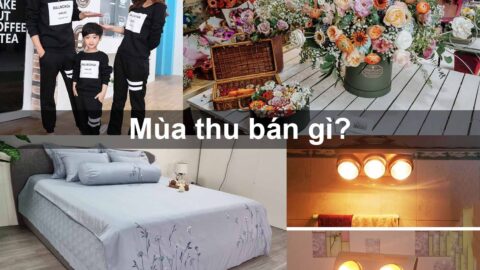 Mùa Thu Bán Gì? 5+ Ý Tưởng Kinh Doanh Hốt Bạc Cho Chủ Shop