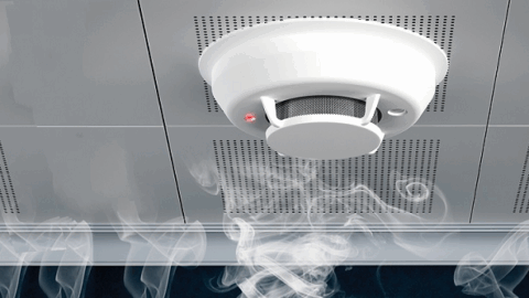 Hướng Dẫn Nhập Cảm Biến Báo Cháy Trung Quốc Giá Tốt
