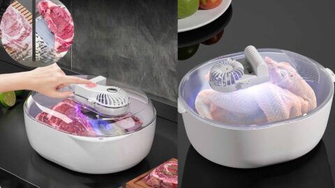 Tại Sao Nên Nhập Nguồn Hàng Máy Rã Đông Thực Phẩm Trung Quốc?