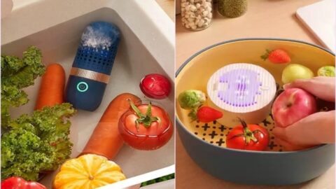 Nguồn Hàng Máy Rửa Rau Quả Trung Quốc Nên Nhập Về Kinh Doanh