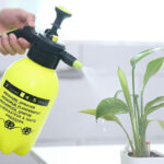 Nguồn Nhập Bình Tưới Cây Trung Quốc Chất Lượng, Bán Chạy Nhất