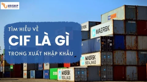 CIF là gì và ý nghĩa trong giao dịch quốc tế?