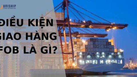 Điều kiện FOB trong Incoterms 2020: Là gì và vận dụng ra sao?