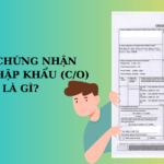 Giấy chứng nhận xuất xứ (C/O) bắt buộc với những loại hàng nào?