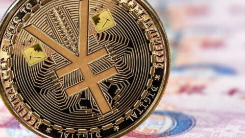 Tôi thanh toán bằng VNĐ hay bằng nhân dân tệ (CNY)?