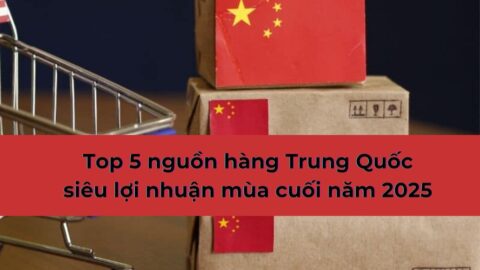Top 5 nguồn hàng Trung Quốc siêu lợi nhuận mùa cuối năm 2025