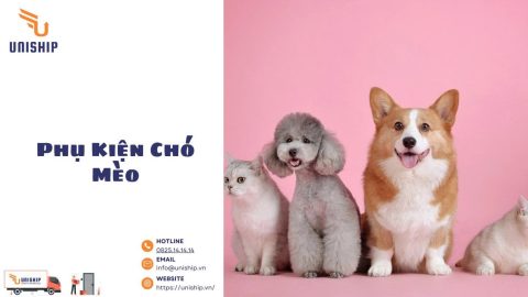 Phụ Kiện Chó Mèo Dành Cho Người Nhập Hàng Kinh Doanh