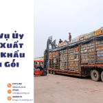Dịch Vụ Ủy Thác Xuất Nhập Khẩu Trọn Gói: Giải Pháp Tối Ưu Cho Doanh Nghiệp 2026