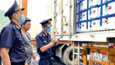 Tạm dừng triển khai Nghị định 46 về an toàn thực phẩm: Gỡ nút thắt cho hàng hóa nhập khẩu