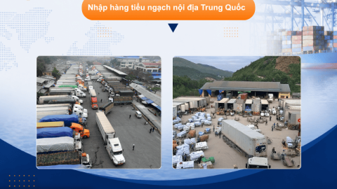 So sánh nhập hàng tiểu ngạch và chính ngạch. Nên lựa chọn hình thức nào ?