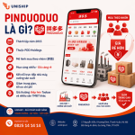 Order Pinduoduo từ A-Z: Cách mua hàng giá rẻ, an toàn về Việt Nam 2026