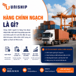 Hàng chính ngạch là gì? Khái niệm, Đặc điểm & Lợi ích