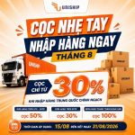 Cọc nhẹ tay – Nhập hàng ngay tháng 8 cùng Uniship Logistics