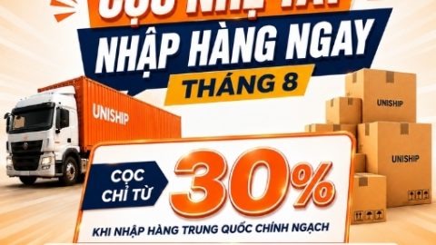 Cọc nhẹ tay – Nhập hàng ngay tháng 8 cùng Uniship Logistics