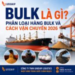 Bulk là gì? Phân loại hàng Bulk và cách vận chuyển 2026