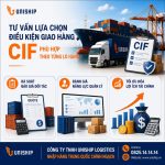 CIF là gì? Vai trò và hướng dẫn tính giá CIF chuẩn năm 2026