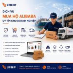 Dịch vụ mua hộ Alibaba uy tín cho doanh nghiệp năm 2026