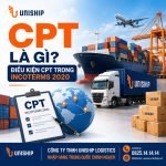 CPT là gì? Điều kiện CPT Incoterms 2020 trong xuất nhập khẩu