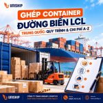 Ghép Container đường biển LCL Trung Quốc: Quy trình & Chi phí A-Z